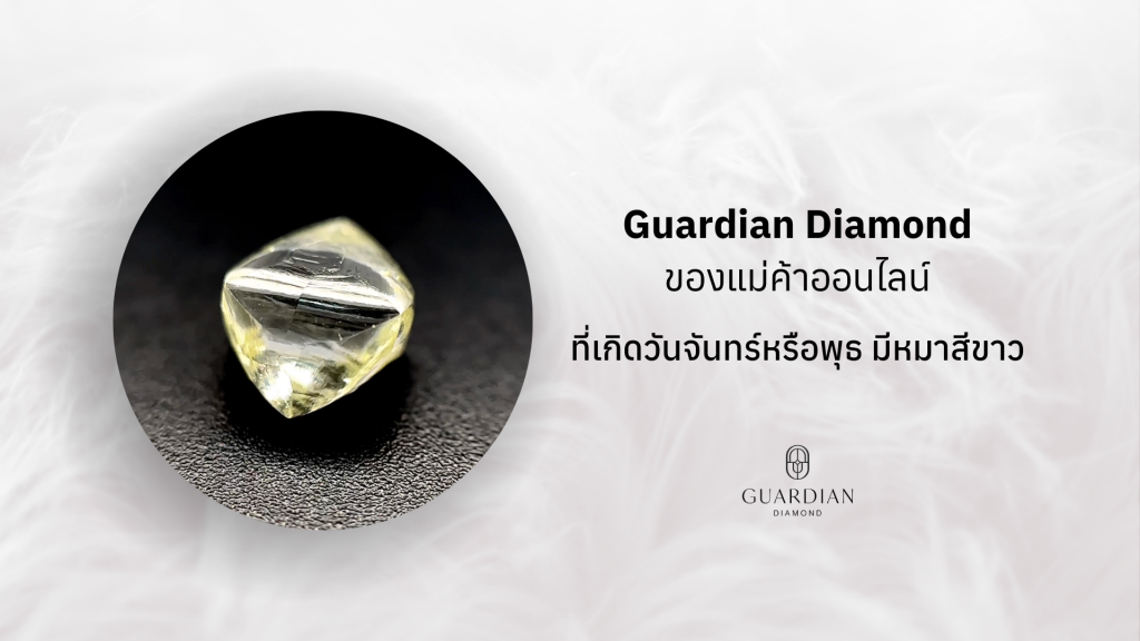 Guardian diamond เพชรเม็ดนี้เกี่ยวกับธุรกิจออนไลน์ เจ้าของเลี้ยงหมาสีขาว
