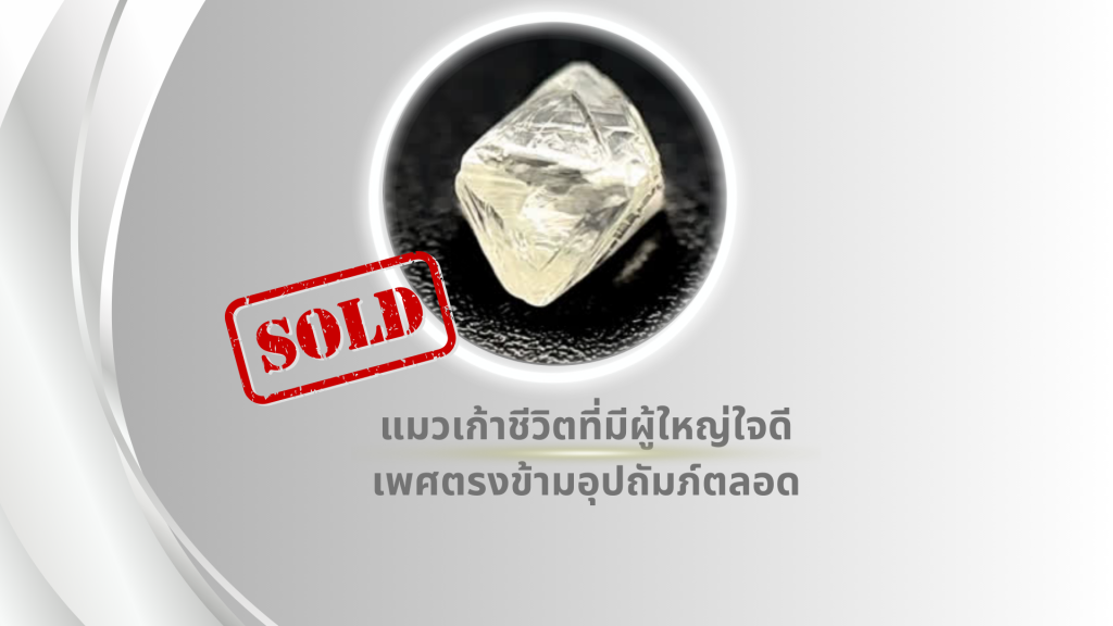 แมวเก้าชีวิตที่มีผู้ใหญ่ใจดีเพศตรงข้ามอุปถัมภ์ตลอด